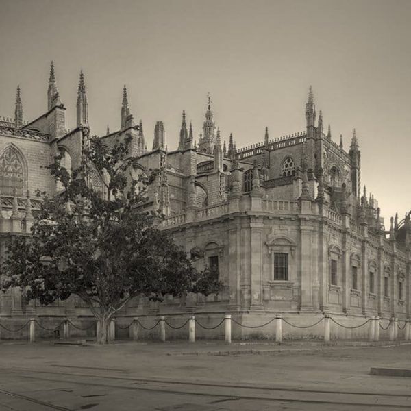 catedral-sevilla-sepia